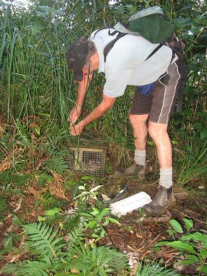 Checking traps takes a reasonable level of fitness.