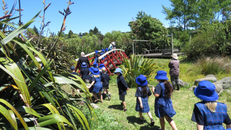 Students from St Joseph’s School – Waitara, one of our Predator Free Schools, explore nature