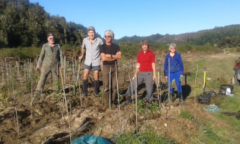 A group of people planting in a wetland