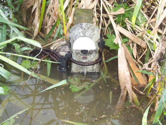 A camera partially submerged in some water.
