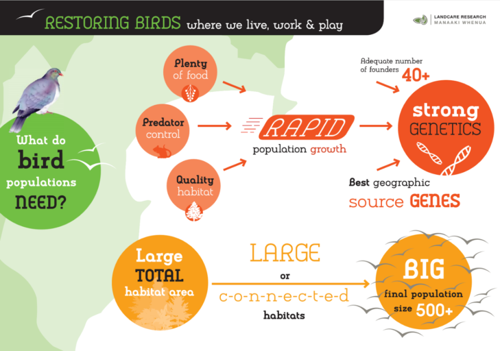 A diagram showing what bird populations need to grow