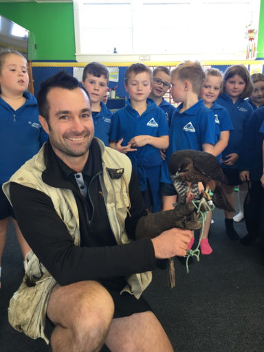 Teacher Vaughan Skea introduces a falcon to St Andrews pupils.
