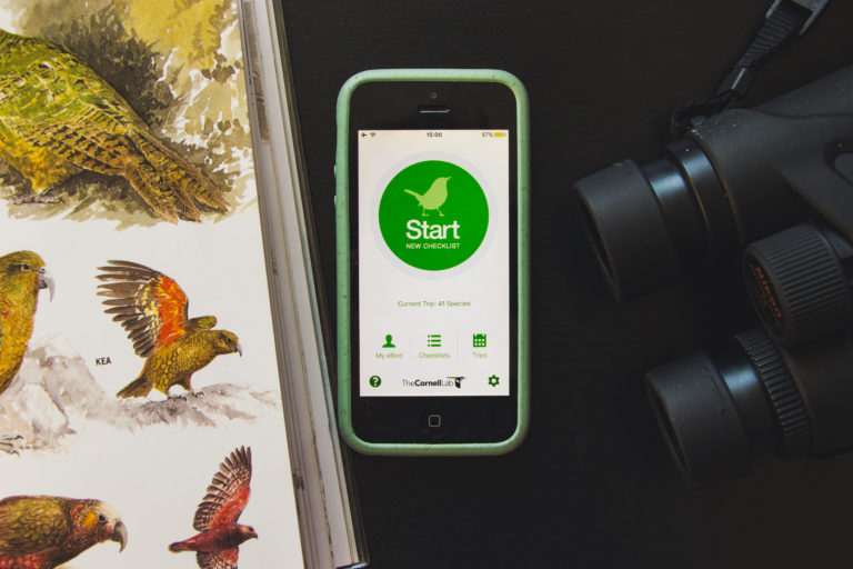 All you need to take part in the New Zealand Bird Atlas - binoculars, a field guide and the app on your phone.
