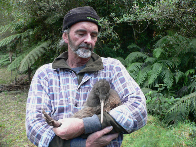 Dave Edwards holds kiwi 'Old Blue' (who was named to honour the conservation work of Don Merton).
