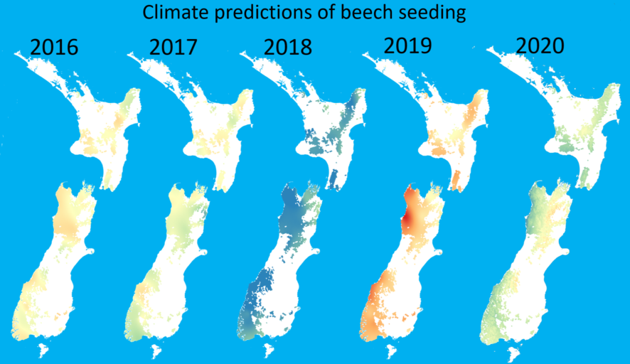 Image showing predicted areas of beech seeding in New Zealand from 2016 - 2020. Image shows that mast year for 2019 is predicted to be significant.
