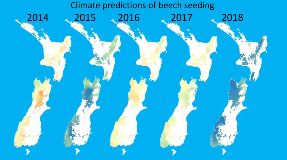 Image showing predicted areas of beech seeding in New Zealand from 2014 - 2018. 