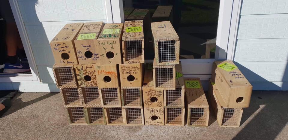 St Joseph's pupils decorated and numbered 50 traps which they sold to New Plymouth Airport as a school fundraiser.