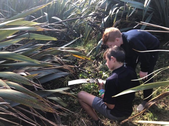 St Joseph's pupils monitor for predators in their wetland area.