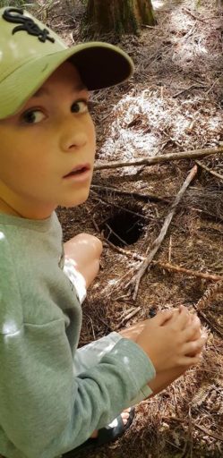Marlon Whyte discovers a kiwi burrow.