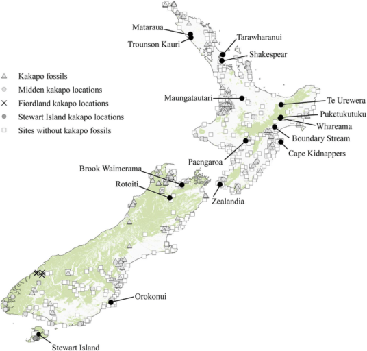 Points used to generate and test MaxEnt predictions of kakapo occupancy and locations. 