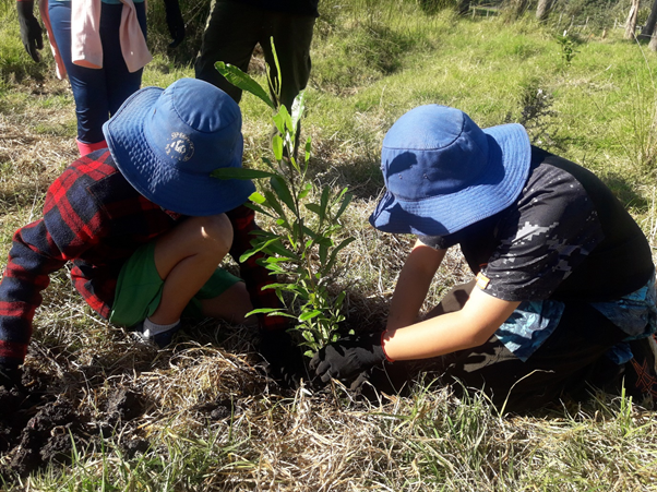 Children plant a tree for the future.