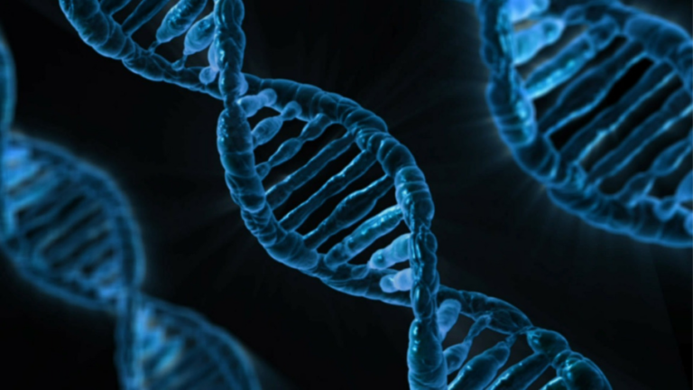 National survey looks at ‘worldview’ and public attitudes to gene drive technologies