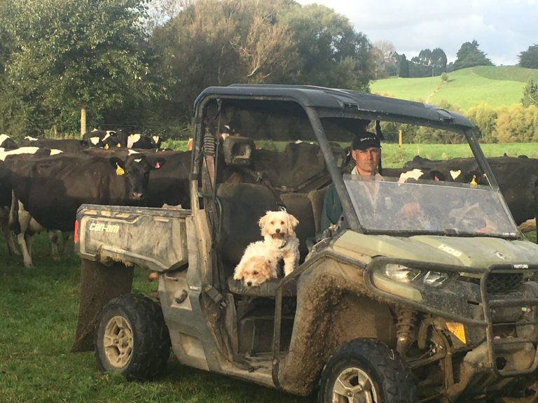 Patoka dairy farmers enjoy benefits of predator control