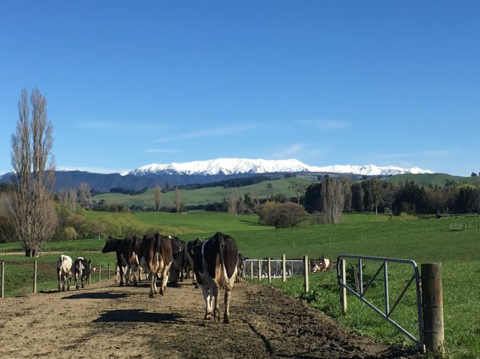 Nick and Nicky Dawson have hosted an Open Gate event and are keen to help close the urban/rural divide.