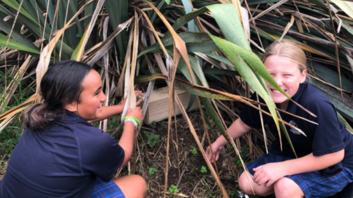 Students at St Joseph Waitara checking their traps. Photo: St Joseph Waitara.