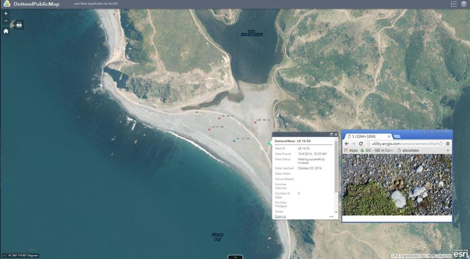 The GIS in Conservation Nest Monitoring app.
