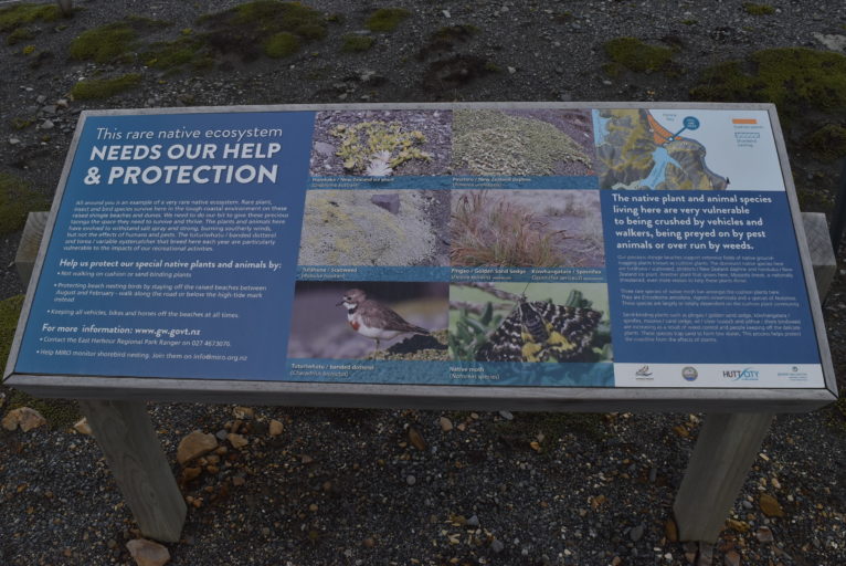 An information board has been erected at the Lakes. Photo: MIRO.