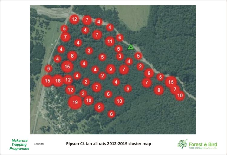 Cluster map of all rats trapped at Pipson Creek fan 2012-2019 .