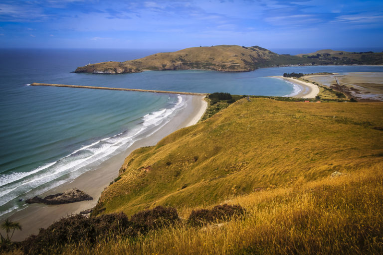 Entrance to Otago Harbour. Photo @ Graeme Scott.