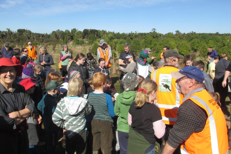 Another 1000 native plants were planted during the Bushy Point Triple Celebrations. Image credit: Otatara Landcare Group.