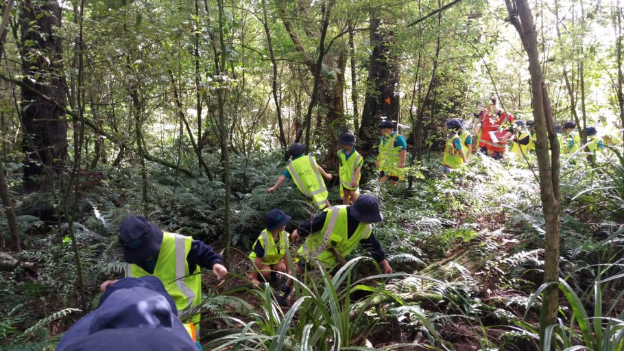 Children explore and discover in the bush.