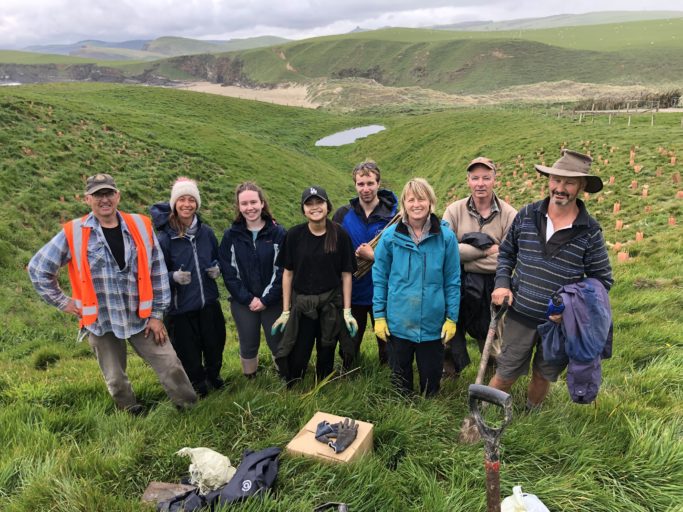  Ensuring management eﬀorts are not diverted away from other activities such as habitat restoration is also essential. Planting day at YEPT Long Point Reserve - Catlins. Image credit: Yellow-Eyed Penguin Trust.