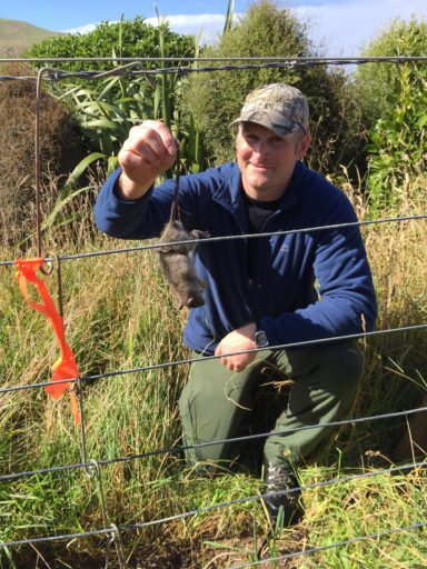 A NZ Deerstalkers Association volunteer with rat caught at YEPT Otapahi Reserve.