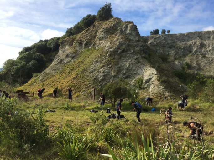 Volunteers have planted over 170,000 trees and other native plants, slowly transforming the island over the last 30 years.