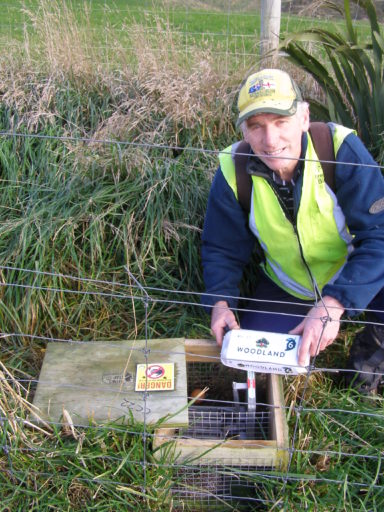 Jim Young - F&B volunteer checking a DOC 200 at the YEPT Long Point Reserve, Catlins.