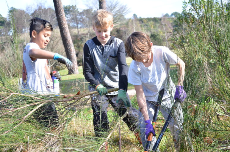 Kids Greening Taupō covers all components of restoration including weed eradication.