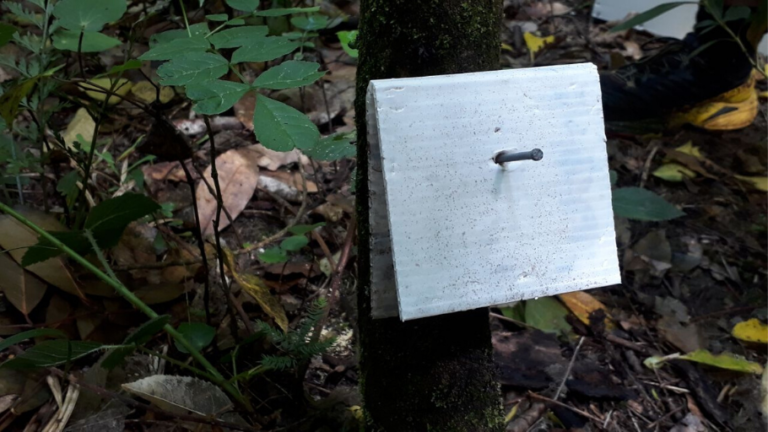 A chew card in the field.