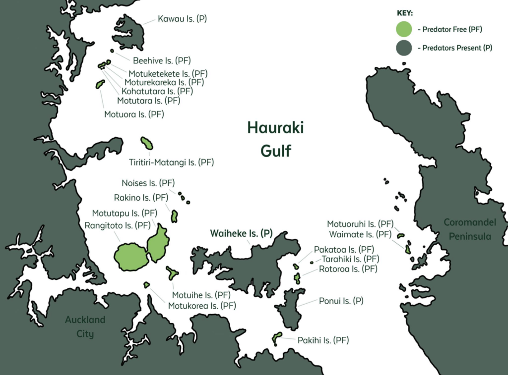 Map of the predator free islands in the Hauraki Gulf