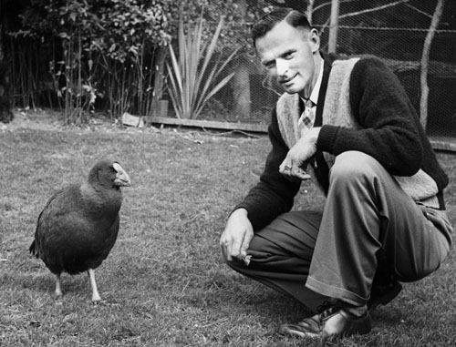 Elwyn Welch and one of the takahē he cared for on his Wairarapa farm about 1957. Image credit: George A. Nikolaison,  Alexander Turnbull Library, National Library of New Zealand, Te Puna Mātauranga o Aotearoa.