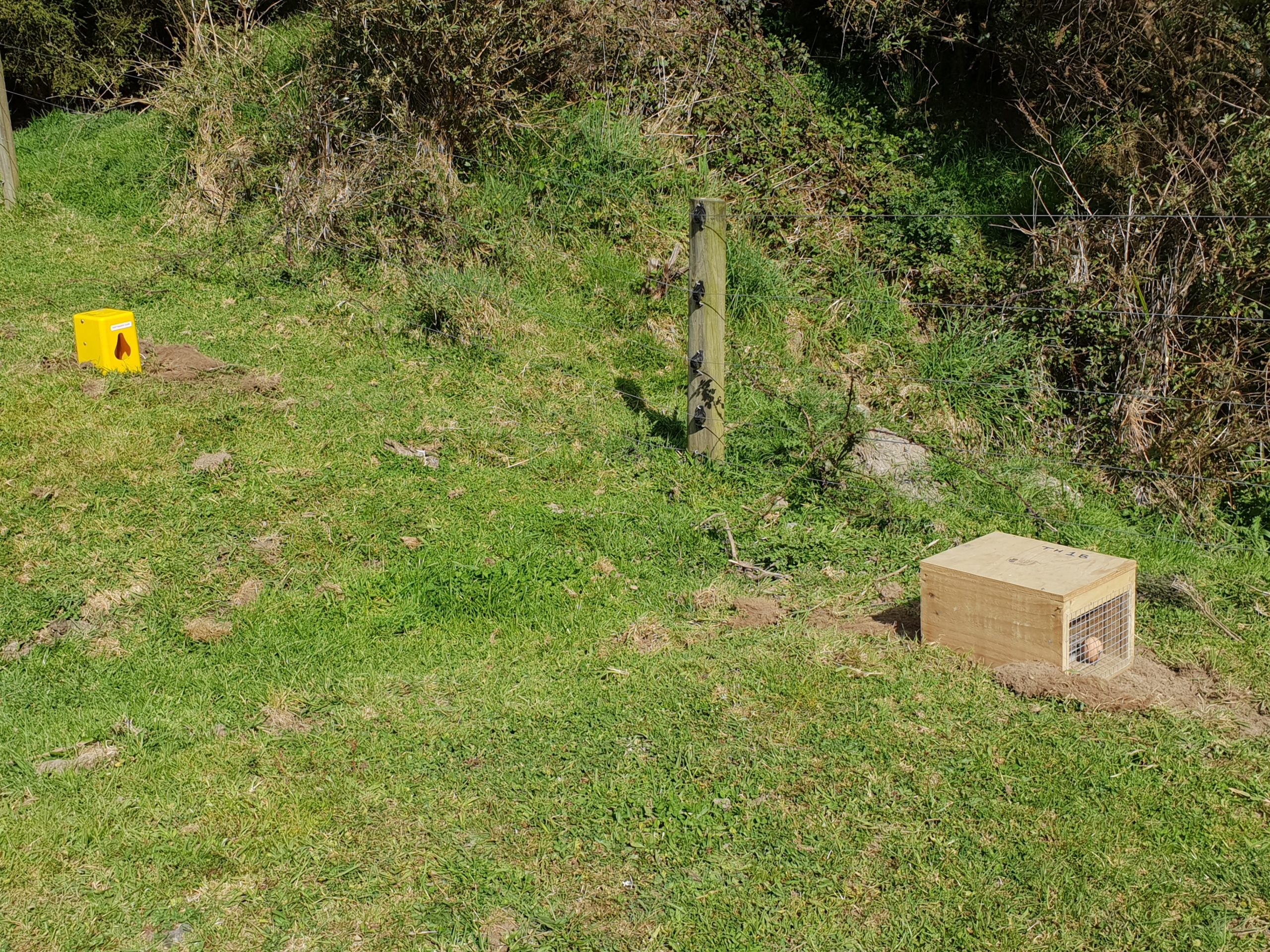 Nz Predator Hunter Trap Selection Predator Free Nz Trust 6078