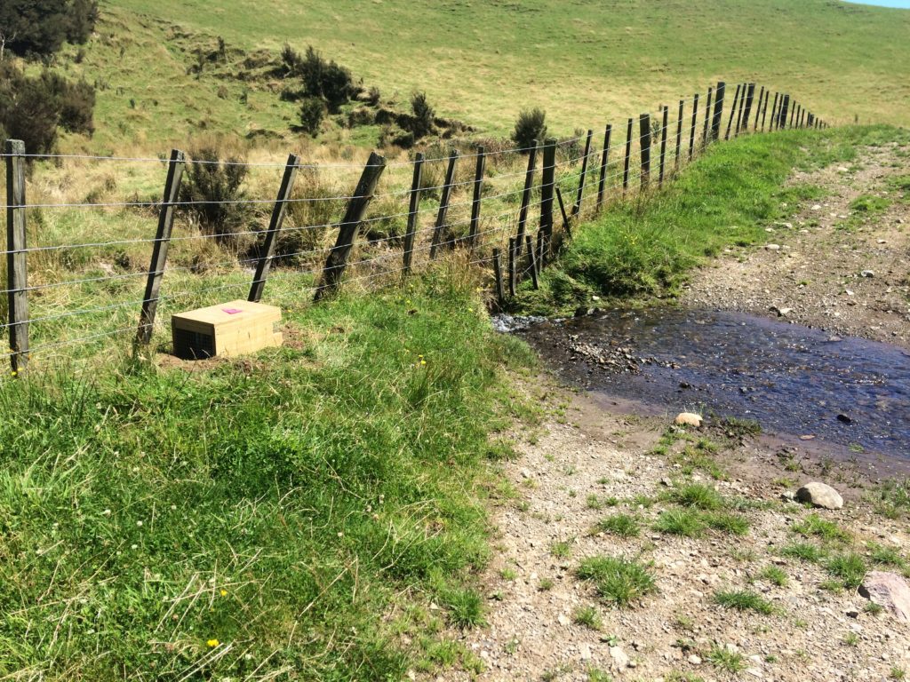 A trap box sits between a fence line and a farm track and in front of a stream.