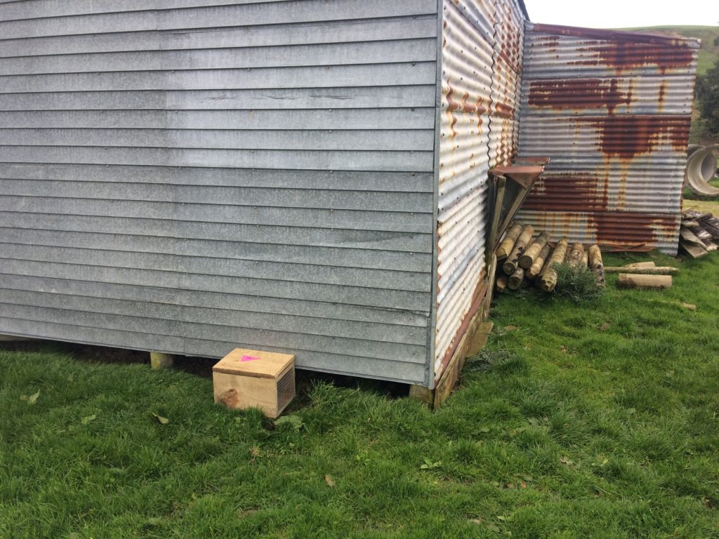 Trap box sits tucked up by a shed