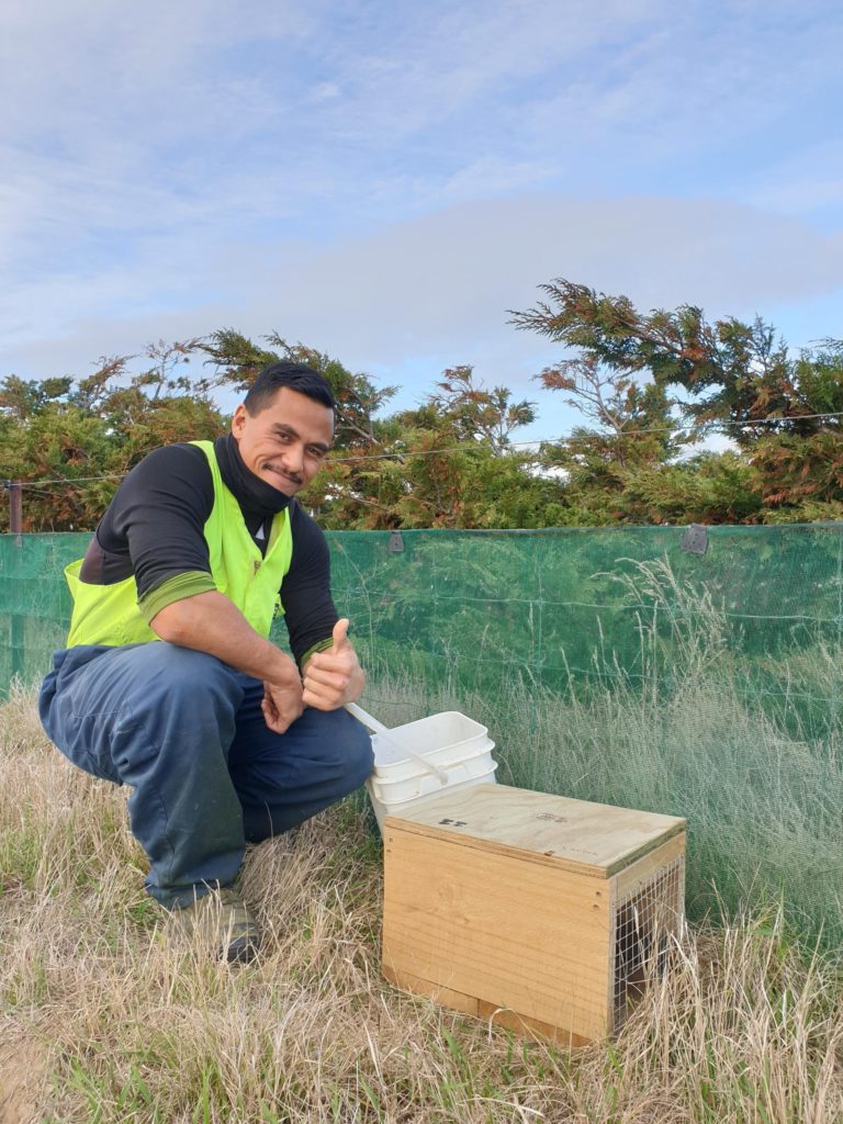 A worker poses by a trap box amongst grass