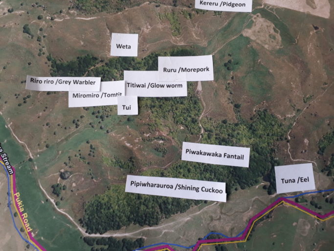 A section of the farm's biodiversity map.
