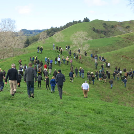 Over 150 people visited Mark and Felicity Brough's farm on a recent field day.
