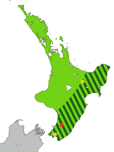 Light green: Range of the Huia, Heteralocha acutirostris, before the arrival of humans to New Zealand, as indicated by fossils. Dark green stripes: Range at 1840. Last sightings of the Huia: Red - last confirmed sighting in 1907 in Tararua Range. Yellow x 2 include one behind Eastbourne at the southern end of the North Island, and one in the Te Urewera National Park. Map by Kahuroa (Wikimedia Commons).