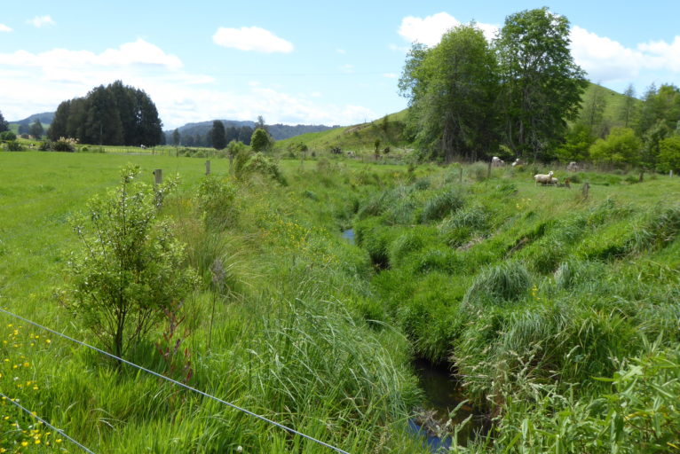 The flats, where freshwater mussels are found and the beehives are also located.