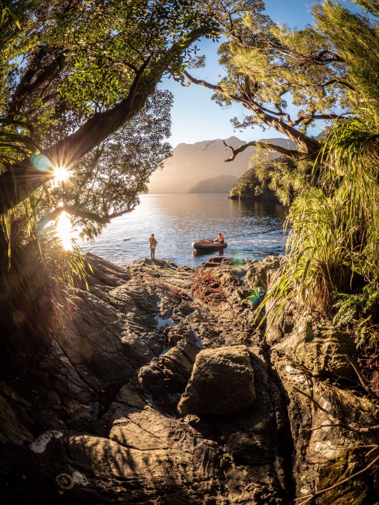 Secretary Island, Doubtful Sound. Image credit: Matt Goodman