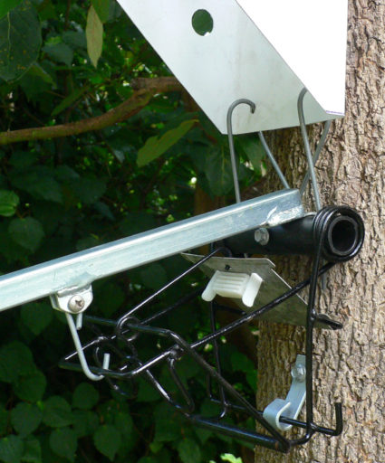 A Sentinel trap set on a tree