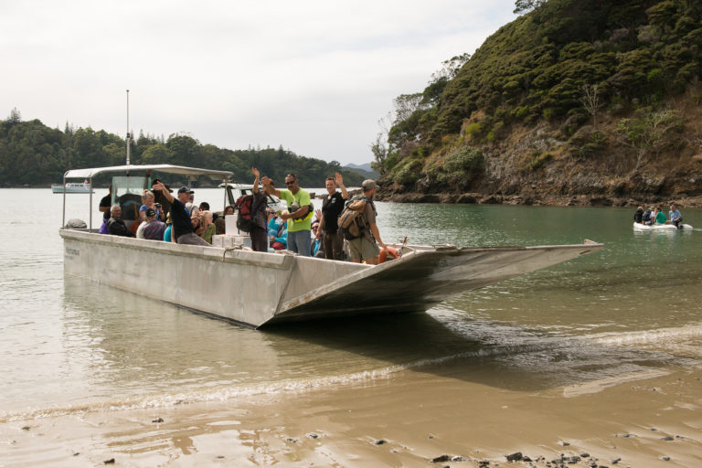 A boat coming into shore for the release of tīeke