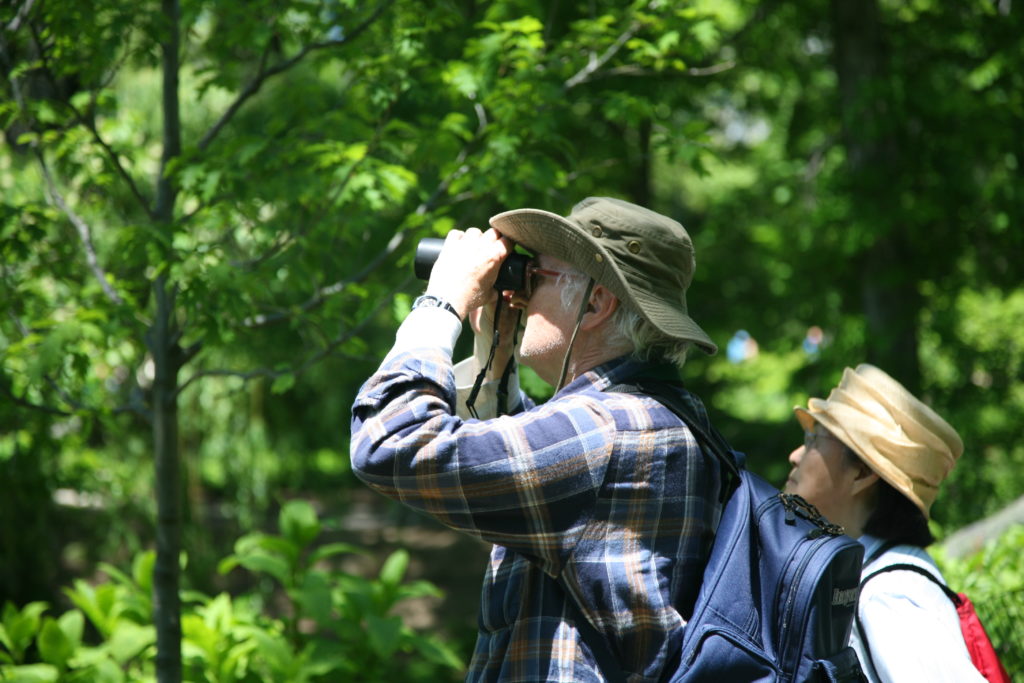 Bird watchers in the forest