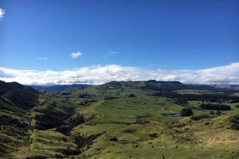 Farm between two forests rich in rare wildlife