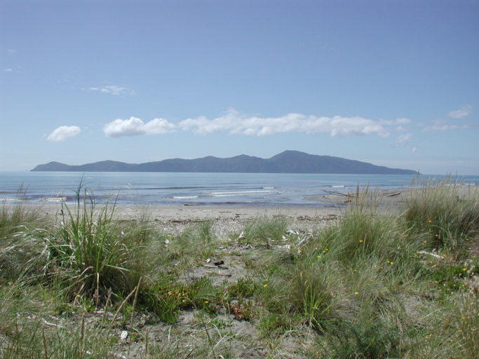 A beach landscape