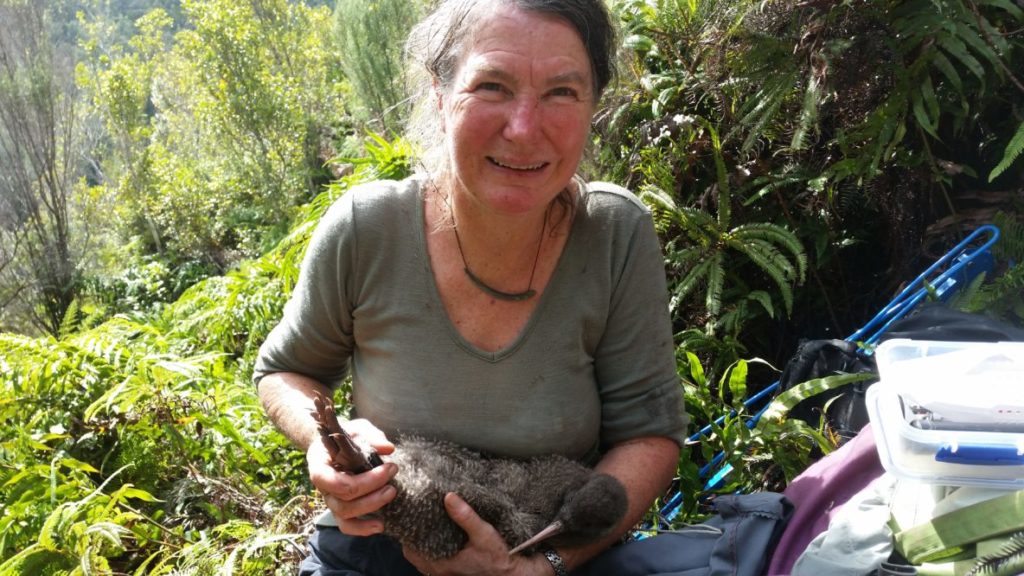Kiwi chick in Jo Halley's arms