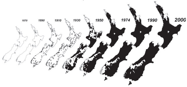 Map of spread from 1850 – 1990 in New Zealand. Image credit Landcare Research Ltd.