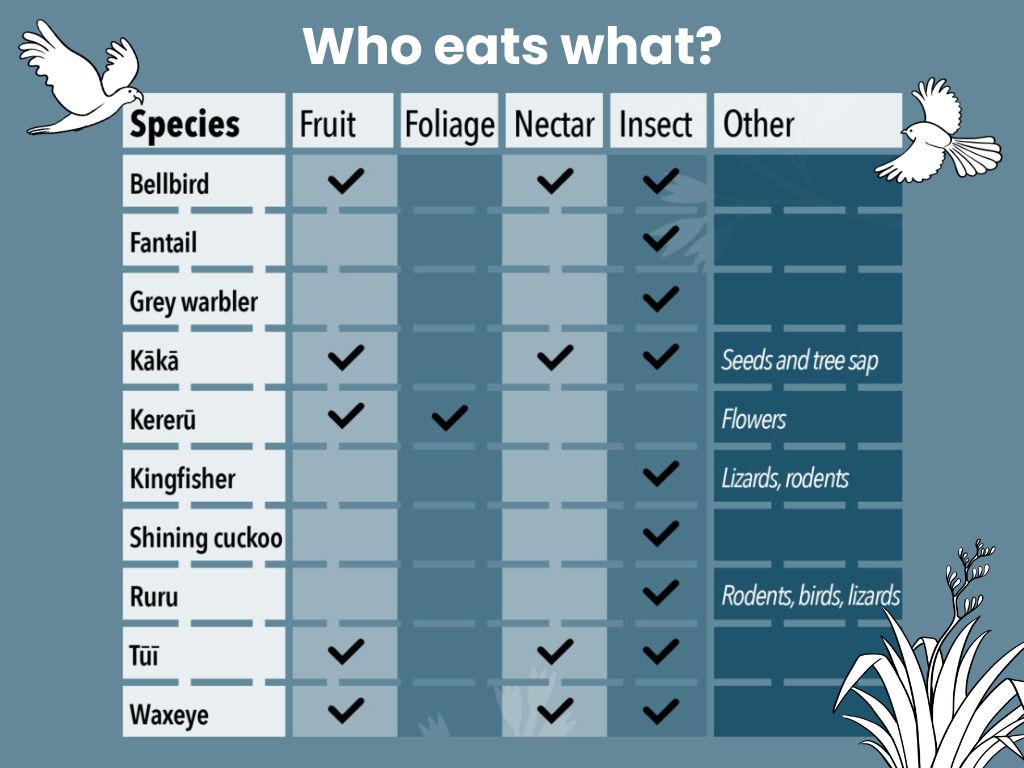 A table showing what common backyard birds eat